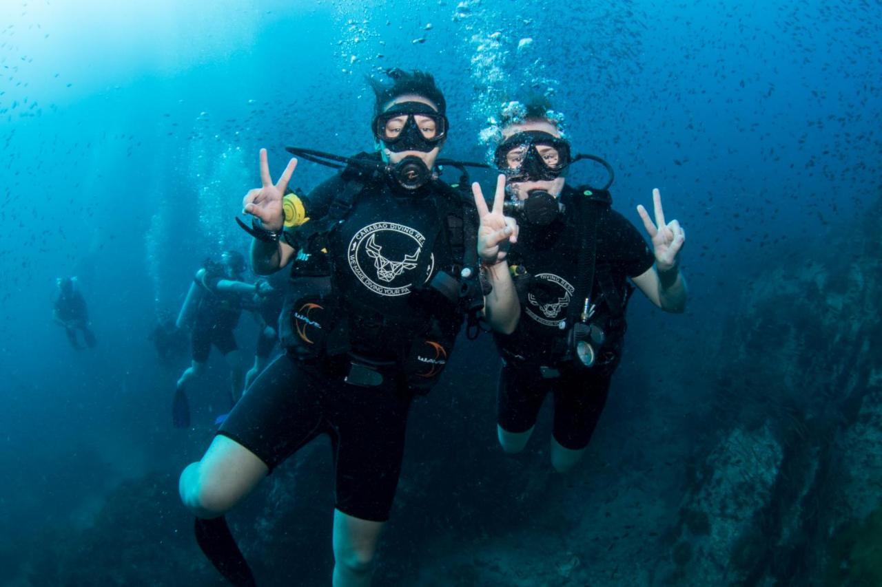 Hotel Carabao Diving Koh Tao Extérieur photo