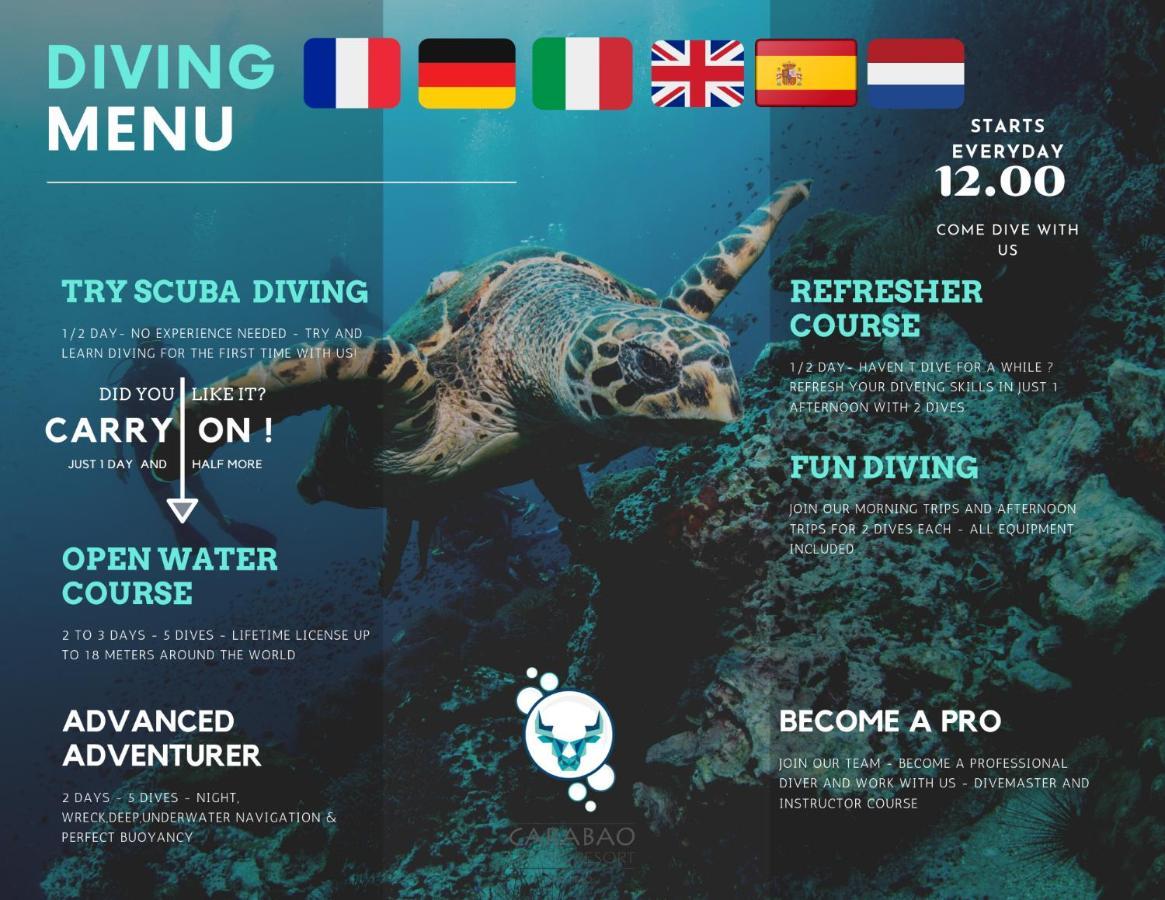 Hotel Carabao Diving Koh Tao Extérieur photo